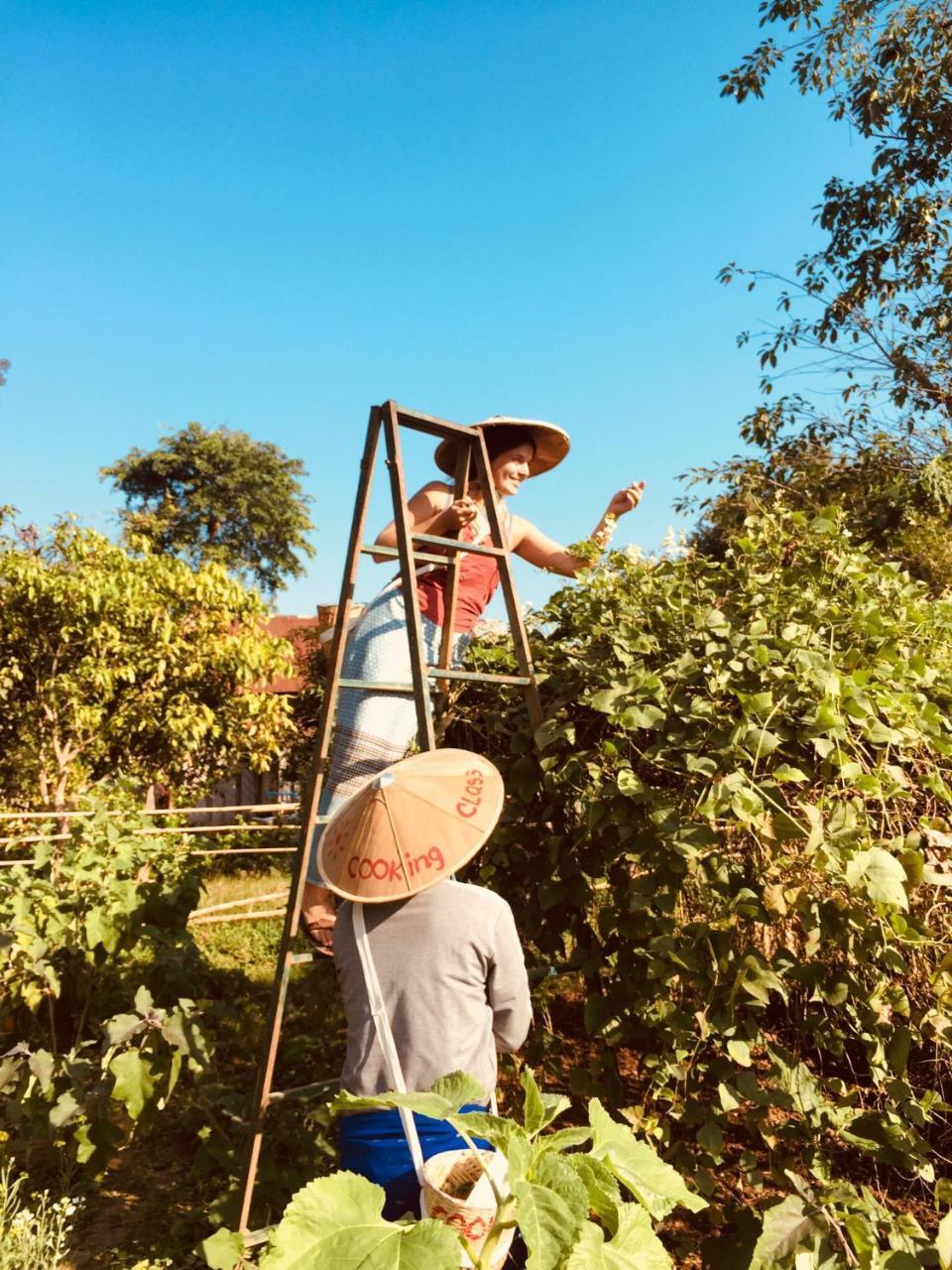 查尔斯先生河景小屋 昔卜 外观 照片